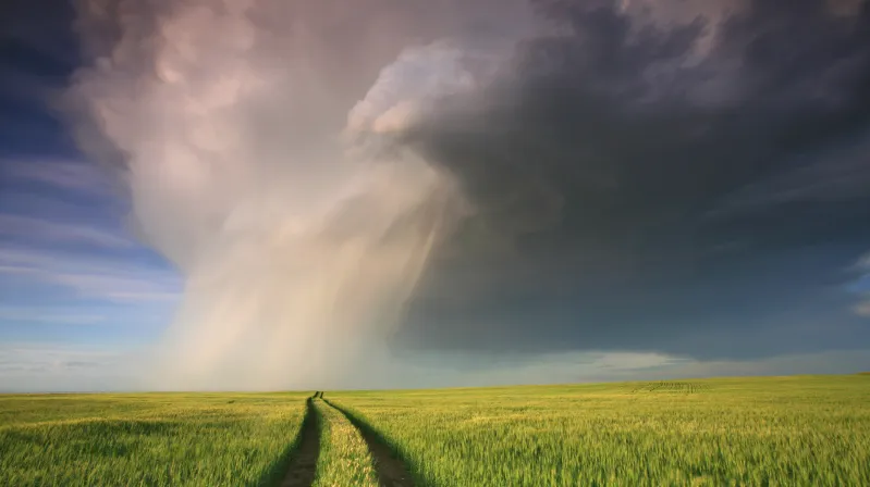 image of grass and sky